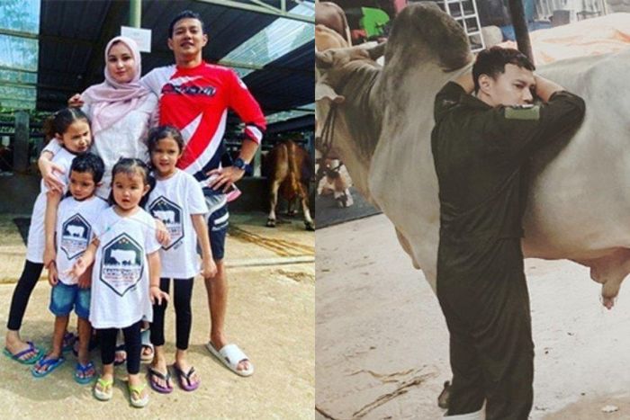 Hardi Fadhillah bisnis sapi