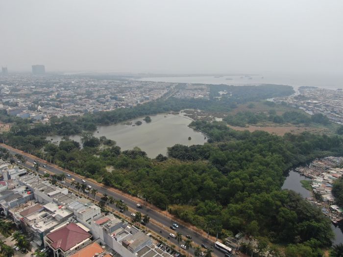 Kendati ditahbiskan sebagai suaka margasatwa terkecil, Muara Angke menjadi kawasan penting penyangga kehidupan.