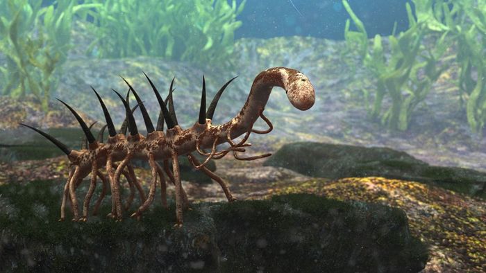 Lobopod berduri Hallucigenia hidup selama periode Kambrium.