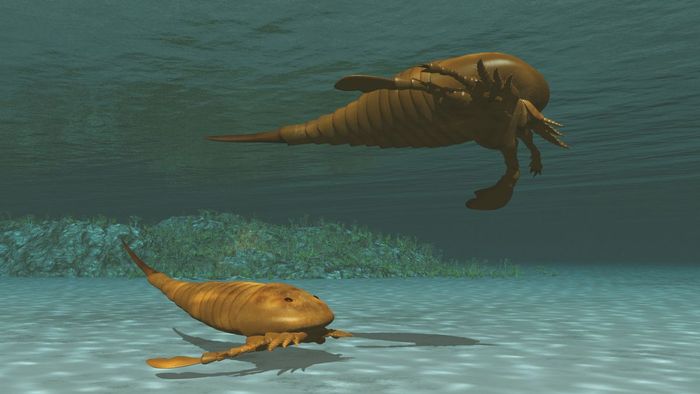 Ilustrasi Eurypterids, spesies araknida terbesar yang pernah hidup.
