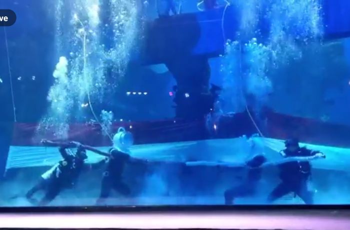 Lomba tarik tambang di bawah air jadi atraksi spesial peringatan 17 Agustus di Jakarta Aquarium &amp; Safari.