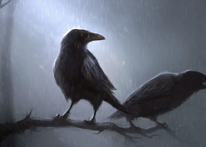 Hugin dan Munin, kedua burung gagak ini mewakili penguasaan sihir Odin, terutama yang berkaitan dengan takdir.