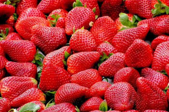 7 Arti Mimpi Memetik Buah Stroberi, Bersenanglah Konon Jadi Lambang Keberuntungan, Hal-hal Baik Akan Datang