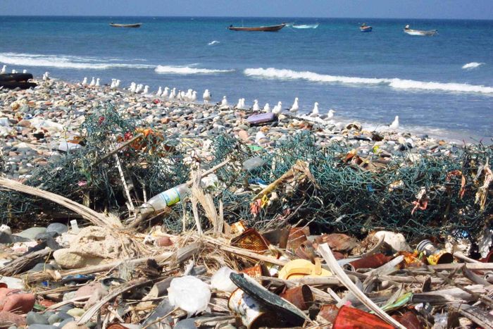 Polutan antropogenik mengancam wilayah pesisir Indonesia.