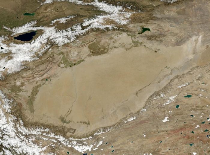 Cekungan Tarim adalah cekungan endoreik besar di Barat Laut China yang mencakup kawasan seluas 906.500 km2.