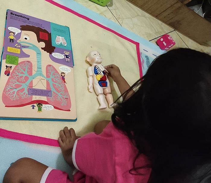 Seorang anak sedang mempelajari anatomi tubuh manusia melalui media belajar yang menyenangkan.