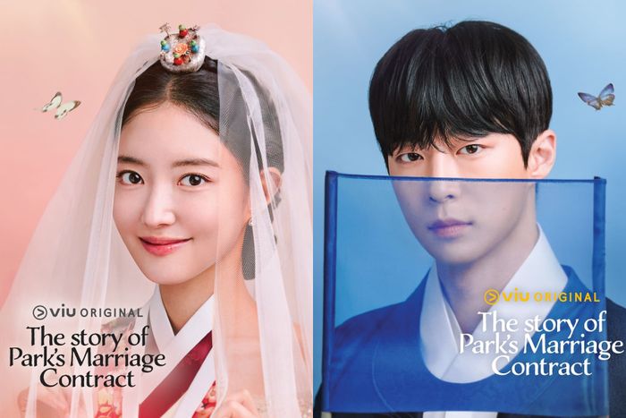 The Story of Park's Marriage Contract, drakor soal kawin kontrak