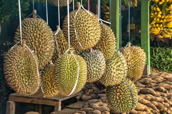 7 arti mimpi buah durian