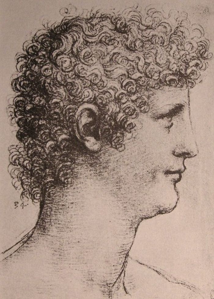 Selain itu, Mona Lisa juga mungkin menggambarkan murid muda dan paling disukai da Vinci yang berpakaian seperti seorang wanita. Ia adalah Gian Giacomo Caprotti.