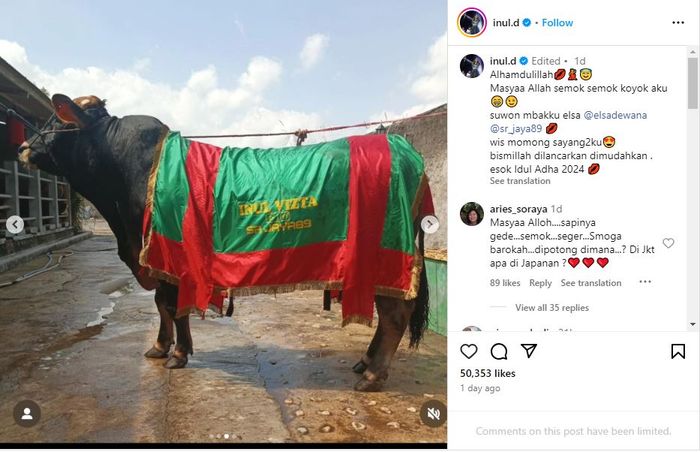 Inul Daratista pamerkan penampakan sapi kurban untuk Idul Adha