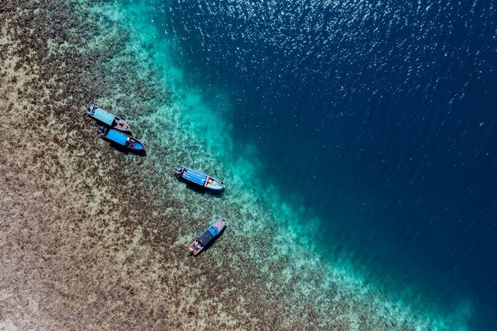 Pesisir Ojab'o, sebuah desa di Teluk Cenderawasih. Menjaga keasrian laut demi keberlangsungan hidup hiu paus juga harus dengan menjaga kehidupan masyarakat pesisir.