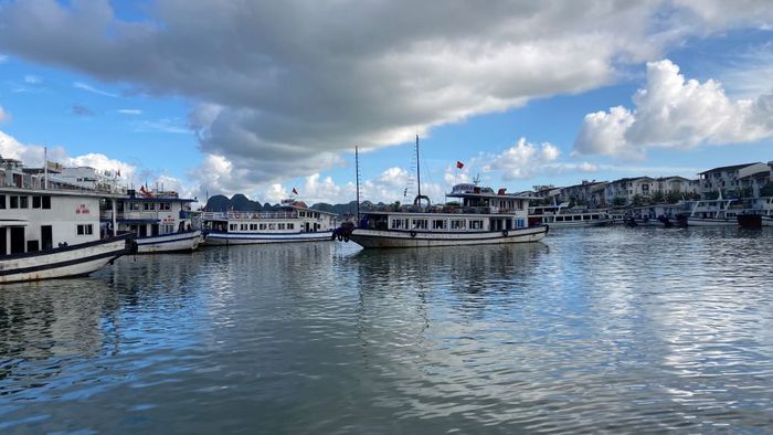 Pelabuhan Tuan Chau, tempat kapal pesiar wisata mengelilingi kepulauan Cat Ba dan Teluk Ha Long, Vietnam. Setiap tahunnya, kawasan wisata Ha Long didatangi lebih dari 2,5 juta wisatawan dari berbagai negara.