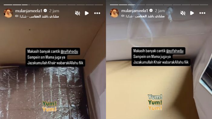 Instagram story Mulan Jameela