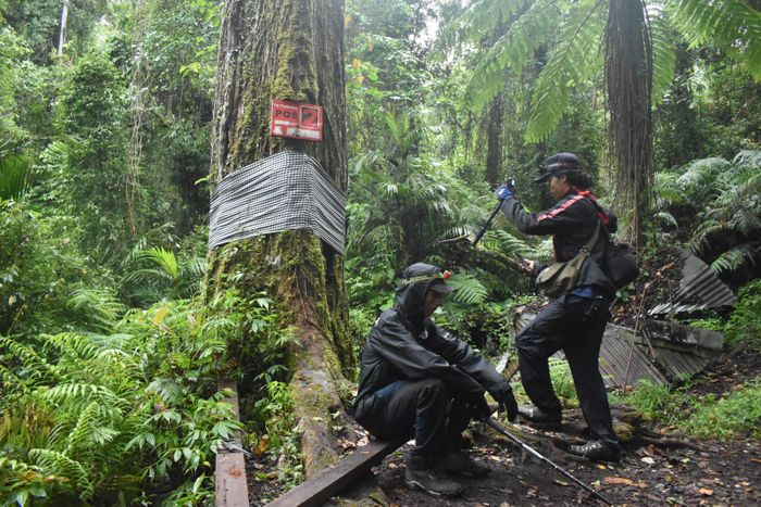 Tiba di Pos Bayangan Pos 2 dalam Pendakian Gunung Tambora.