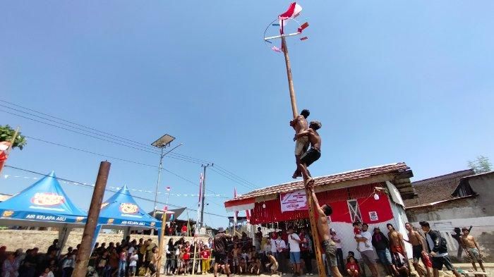 3 Shio yang Berbakat dalam Lomba Panjat Pinang saat HUT RI ke-79  