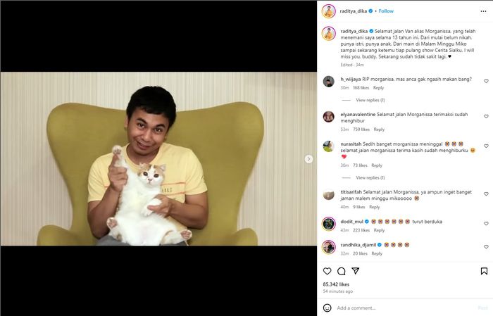 Raditya Dika ditinggal mati kucing kesayangannya, Morganissa.