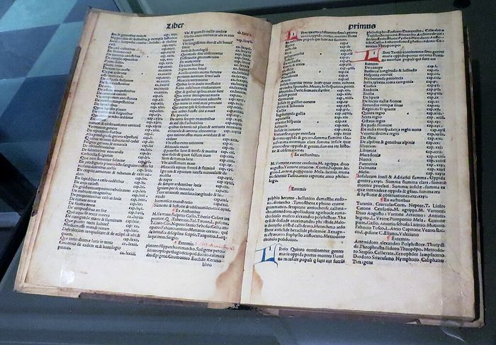 Salinan Naturalis Historia dicetak oleh Johannes Alvisius pada tahun 1499 di Venesia, Italia.