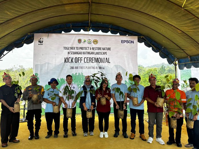 Yayasan WWF-Indonesia dan PT Indonesia Epson Industry menggulirkan program 'Pohon untuk Kehidupan' di Sebangau Katingan, Kalimantan Tengah.