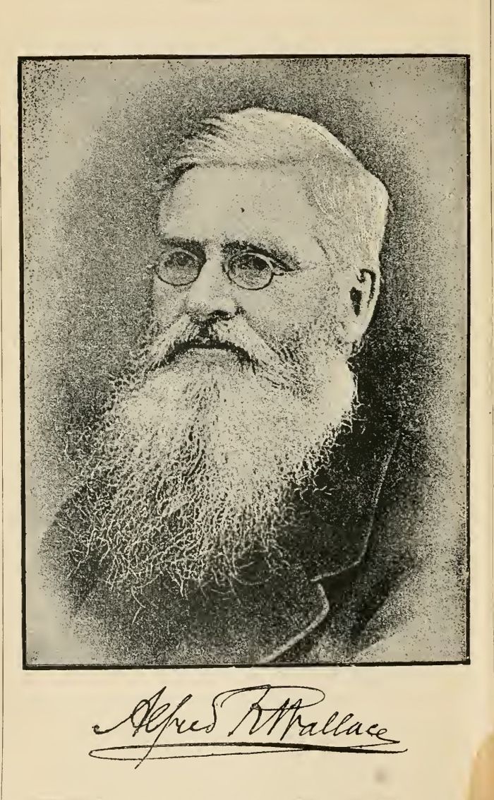 Potret dan tanda tangan Alfred Russel Wallace dalam edisi cetak ulang buku 'A Narrative of Travels on the Amazon andd Rio Negro' pada 1889.