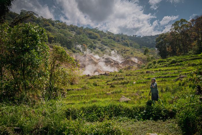 Seorang petani beraktivitas tidak jauh dari Kawah Ulumbu di belakangnya. Kawah panas merupakan salah satu penanda adanya potensi energi panas bumi yang terkandung di dalamnya.