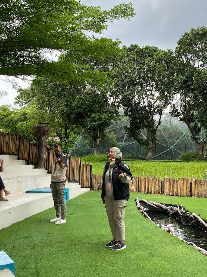 Jagat Satwa Nusantara akan berpartisipasi dalam acara &ldquo;Sunset di Kebun&rdquo; yang akan diadakan di Taman Mini Indonesia Indah (TMII), 15 Desember 2024.