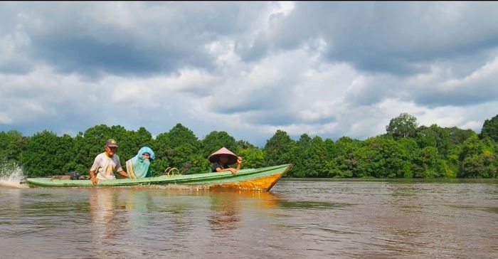  Di seberang sungai Katingan terbentang hutan Kalimantan yang lebat dengan flora dan fauna di dalamnya.