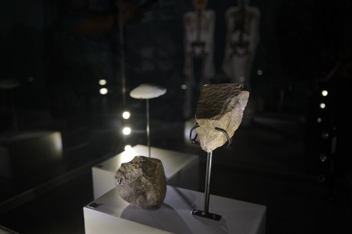 Peranti litik tinggalan Homo erectus yang dipamerkan dalam 'Indonesia, The Oldest Civilization on Earth?' di Museum Nasional Indonesia. Kita kembali menekuri perjalanan evolusi manusia berikut dengan peranti-perantinya untuk bertahan hidup. Barangkali peranti itu sama pentingnya dengan teknologi gawai cerdas untuk ukuran zaman sekarang. Sejauh mana evolusi berpikir telah mengubah wajah Bumi? Sanggupkah kita menciptakan peradaban yang lebih unggul, baik bagi manusia maupun spesies lainnya? 