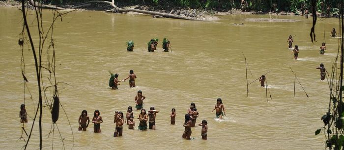 Mascho Piro adalah suku terasing di wilayah Amazon Peru. Suku pemburu pengumpul ini hidup bergantung pada hutan. Maka deforestasi adalah ancaman terhadap kelangsungan hidup mereka.