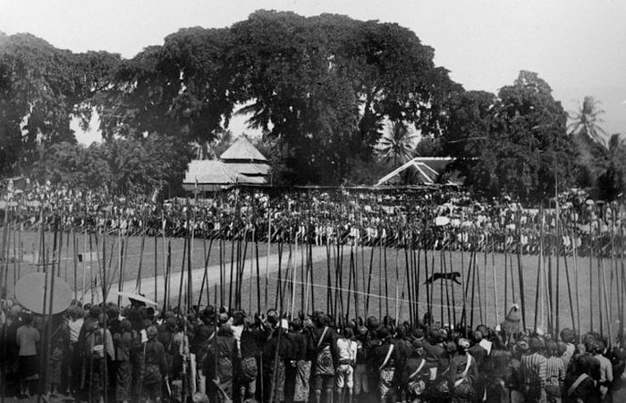 Potret Rampogan macan di Kediri sekitar 1890-1925.