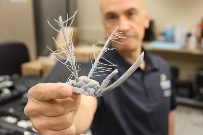 Profesor Universitas Purdue Pablo Zavattieri memegang kepala nyamuk hasil cetak 3D. Tim peneliti ilmiahnya menciptakan kembali antena nyamuk untuk mempelajari sensitivitasnya terhadap getaran dengan lebih baik, untuk meningkatkan cara tanggap bencana.