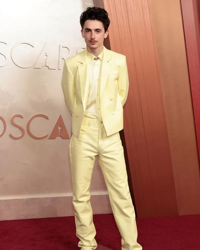 Tampilan Timothee Chalamet di red carpet Oscars ke-97.