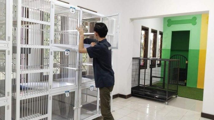 Petugas Petshop Indonesia mengecek kesiapan kandang untuk penitipan hewan di Petshop Indonesia Jalan Kenari 59A, Umbulharjo, Kota Yogyakarta, Selasa (28/03/2023) 