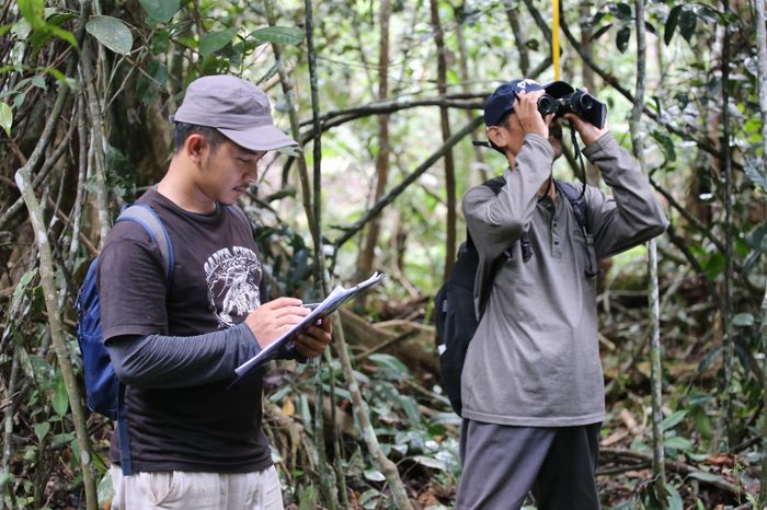 Salah satu peneliti BRIN sedang pengamatan di hutan alam Stasiun Penelitian Humus.