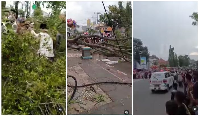 Warga berusaha membantu evakuasi korban pohon tumbang di Pemalang