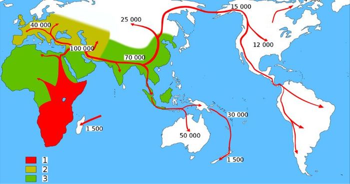 Bagaimana Homo sapiens menyebar ke benua-benua?