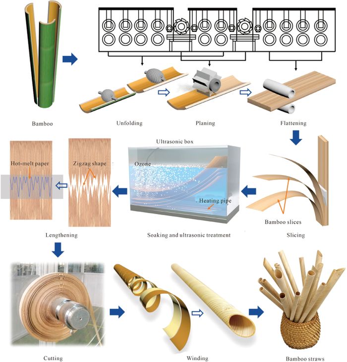 Proses pembuatan sedotan bambu ramah lingkungan dengan cara menggulung irisan bambu ultra-tipis.