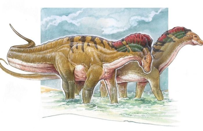 Amargasaurus cazaui