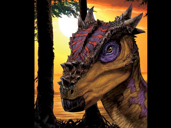 Dracorex hogwartsia