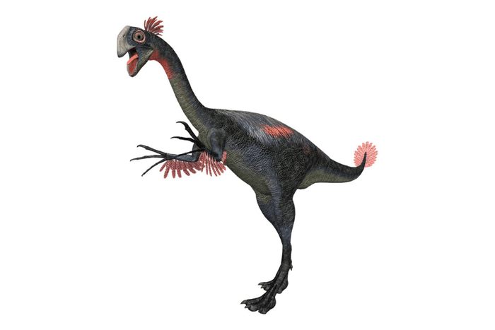 Gigantoraptor