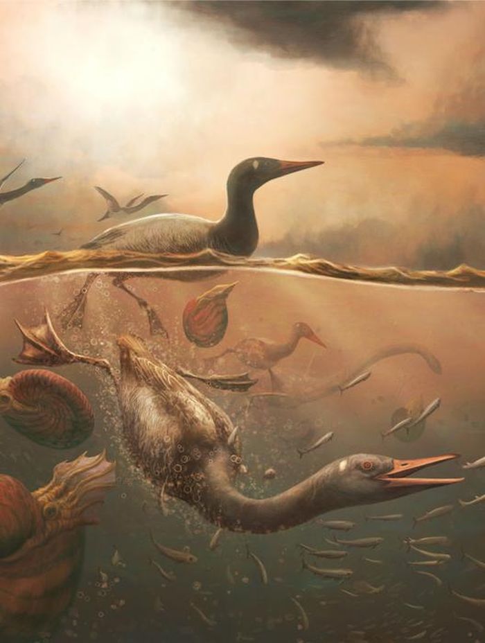 Temuan ini memberikan wawasan mendalam tentang fase awal evolusi burung modern serta keragaman jenis burung pada penghujung Zaman Dinosaurus.