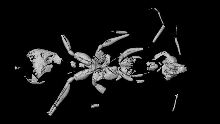 Pemindaian CT