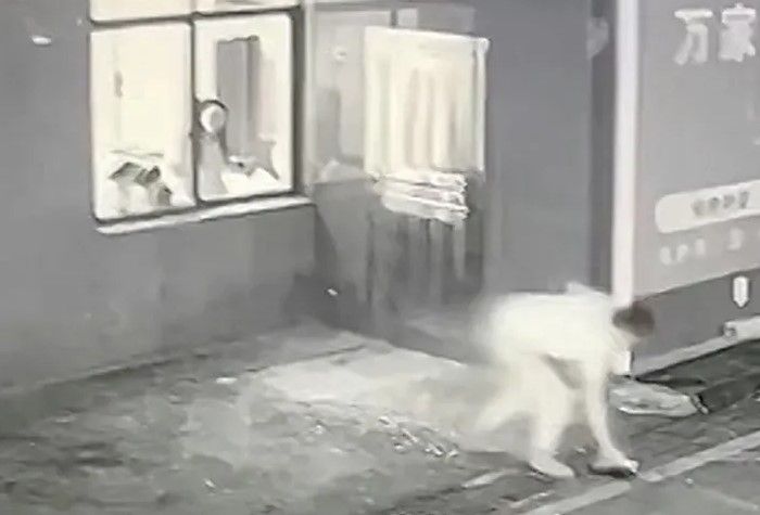 Pria yang berantem dengan pacarnya kabur