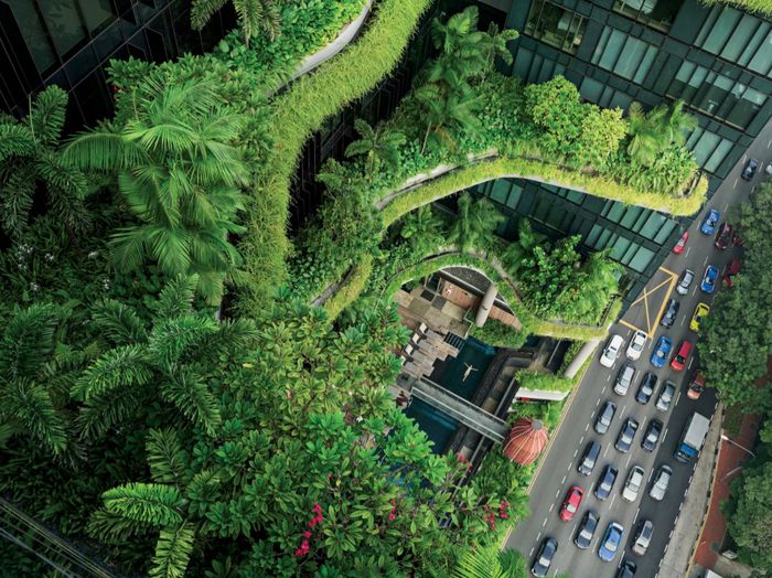 Jauh di atas jalan-jalan kota, dedaunan yang subur menempel di fasad Parkroyal di Pickering.