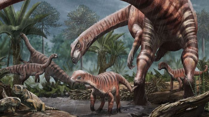 Mussaurus beralih dari berjalan dengan keempat kakinya saat masih muda menjadi berjalan dengan kaki belakangnya saat dewasa.
