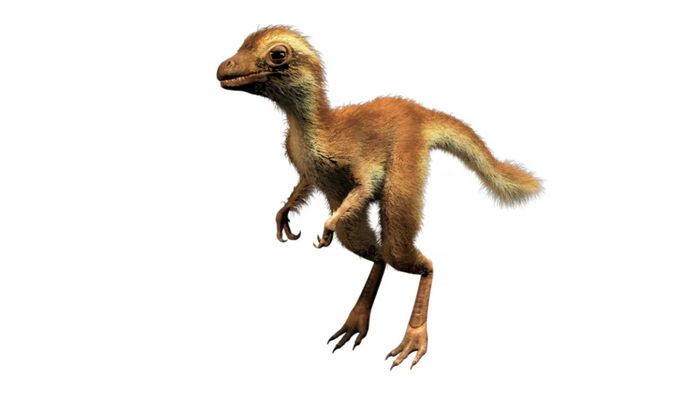 Bayi T. rex kemungkinan memiliki lapisan bulu halus yang menggemaskan.