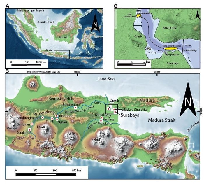 A: Paparan Sunda di Asia Tenggara, dengan kepulauan Indonesia. Kotak menunjukkan posisi peta B. B: Jawa Timur, Selat Madura, Bengawan Solo, Ngandong, Sambungmacan, dan situs hominin lainnya. Kotak menunjukkan posisi peta C. C: Selat Madura di utara Surabaya, dengan area ekstraksi pasir dan lokasi reklamasi lahan BMS. 