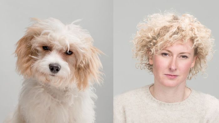 Sasha dan anjingnya, Sydney, seekor cavachon &mdash; ras campuran antara Cavalier King Charles spaniel dan bichon frise.