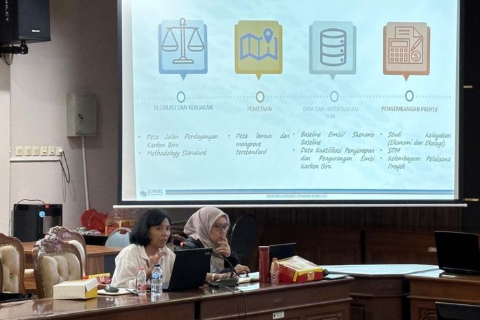 Lokakarya hasil studi karbon biru KKP3K-KDPS.
