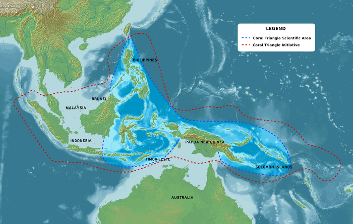 Segitiga Terumbu Karang (Coral Triangle) adalah kawasan berbentuk segitiga yang terletak di perairan tropis sekitar Indonesia, Malaysia, Papua Nugini, Filipina, Kepulauan Solomon, dan Timor-Leste. Kawasan di antara Samudra Pasifik dan Samudra Hindia ini memiliki setidaknya 500 spesies karang pembentuk terumbu di setiap ekoregion. Perairan Papua, khususnya bentang Laut Kepala Burung merupakan jantung Segitiga Terumbu Karang.