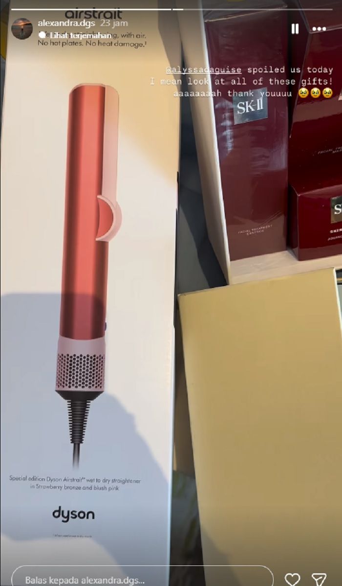 Catokan rambut dyson, isi souvenir bridesmaid Alyssa Daguise.